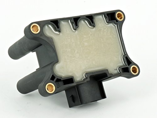 Formula Auto Parts IGC29 Ignition Coil