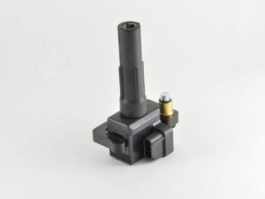 FAP IGC376 Ignition Coil, 1 Pack