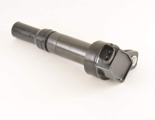 FAP IGC190 Ignition Coil, 1 Pack